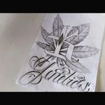 JAMES STUTZ - @stutz.james - Instagram