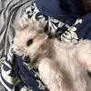 RJ - @riverstyxjames - TikTok
