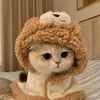 Lydia kitten lover - @jamessuchecki - TikTok