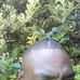 James Sakwa - Facebook