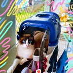 James suckow - @james.gatinho - Instagram