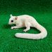 James Sugar Glider - Facebook