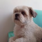 JAMES SULLEY🐾 - @jamessulley2023 - Instagram