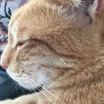 James Summerhill - @jamessummerhill_ - Instagram