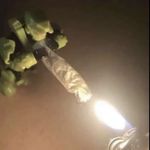 James Summitt - @james_summitt - Instagram
