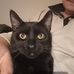 Christopher James Szopinski-Ross - Facebook
