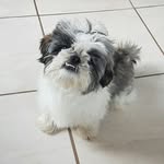 Moccachino James Supreme - @moccachino_james_supreme - Instagram