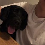James - @james_.sutherland - Instagram