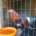 James Sweatt - Facebook