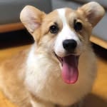 @james_tanaka_042 - Instagram