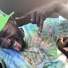 James Tann - @mr.onpurpose - TikTok