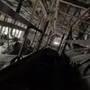 James - @james.taranto - TikTok