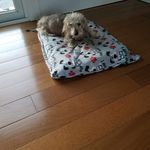 James Tardiff - @tardiffjames - Instagram