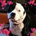 James Tedrow - Facebook