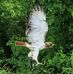 James Tedrow - Facebook
