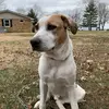 James teehan - @james.tee2 - TikTok