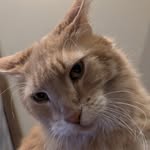 david James teeter - @davy_doodle1 - Instagram