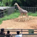 James Tennison - @james.tennison.37 - Instagram