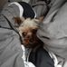 James TerHaar - Facebook