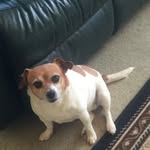 James Thackeray - @james.thackeray.79 - Instagram