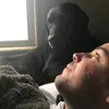 James Thames JR - @james.thames.jr - TikTok