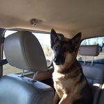 James Thurlow - @jthurlowoo7 - Instagram