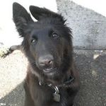 James Tidd - @tiddjames - Instagram
