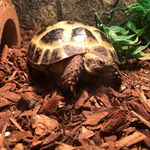 James Tieman - @jamestieman_ - Instagram