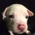 Kamden James Tilly - @kamden_james_tilly - Instagram
