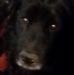 James Timmer - Facebook