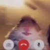 James - @tinder.jamesfukoff - TikTok