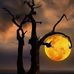 James Tinney - Facebook