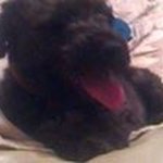 James tinney - @tinney_james - Instagram