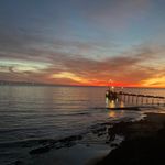 James Tolar - @jellybowler - Instagram