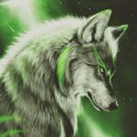 james tomberlin - @tomberlin.james - Instagram