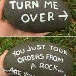 James Tomes - @james.tomes.771 - Instagram