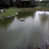 James Toms - @james.toms62 - TikTok