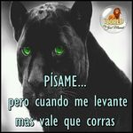 James Toro - @jamestoro2421 - Instagram