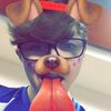 James Tosh - @a_diff3r3nt_guy - TikTok
