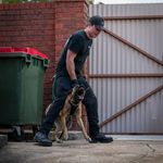 James Towers - @james_towers_k9 - Instagram