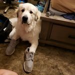 James Trail - @jamesrichardtrail - Instagram