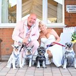 James Tranter - @jthomeimprovements6 - Instagram