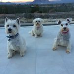 James Tranter - @tranter1115 - Instagram