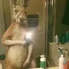 Tokio fan - @jamestrejos550 - TikTok