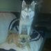 James M Tremblay - Facebook