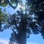 James Trimmer - @southnowest - Instagram