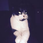 @james_trow_2009 - Instagram
