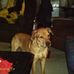 James Tubbs - Facebook