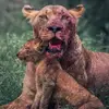 James Tubbz - @james.tubbz5 - TikTok