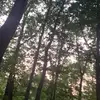 james tucker - @jamestucker0459 - TikTok